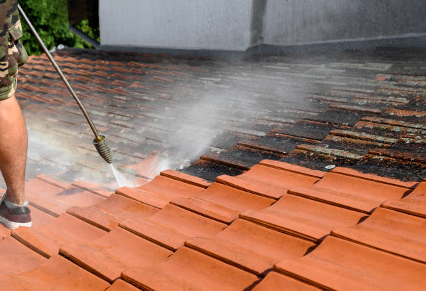 Best House Pressure Washing  in New London, IA